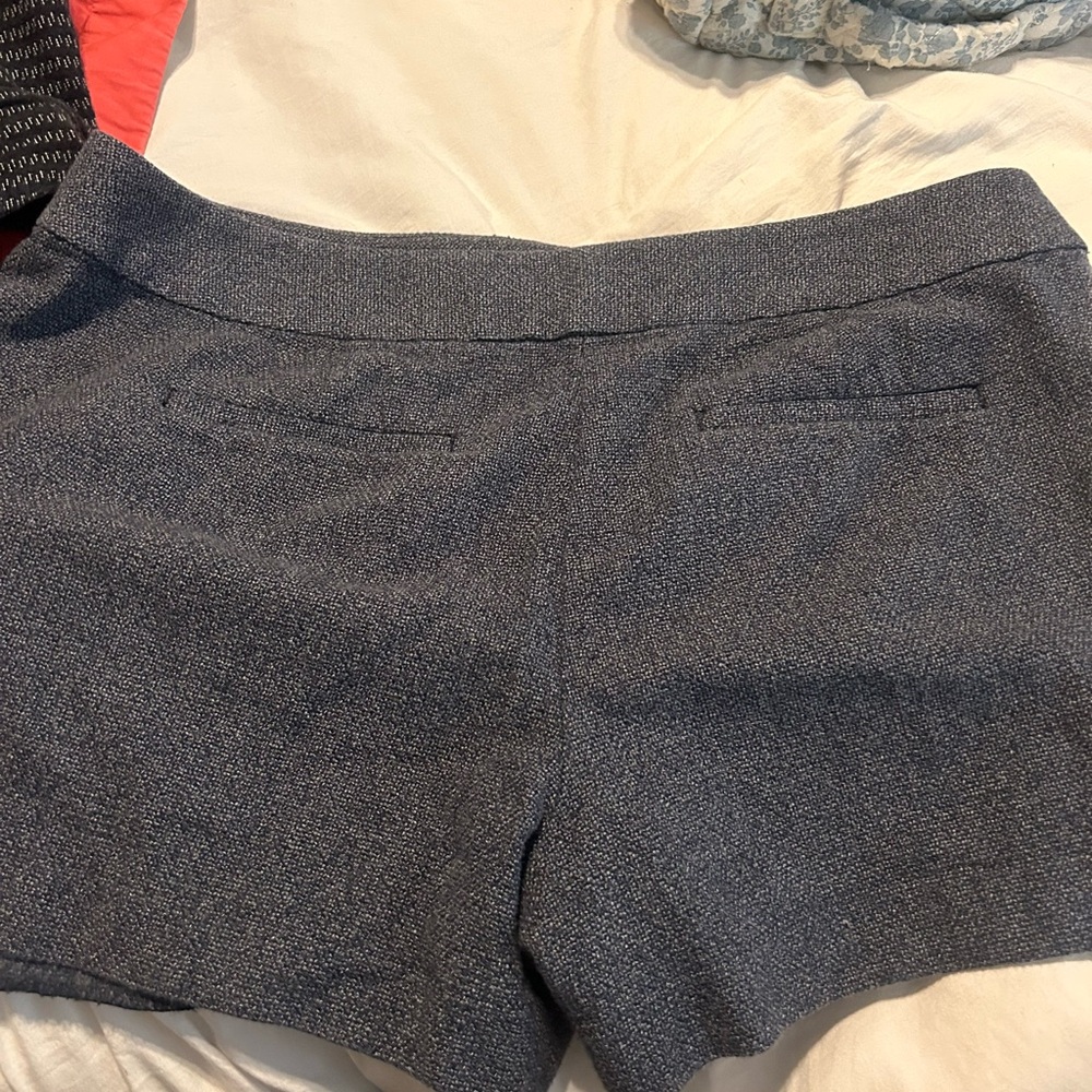 loft shorts